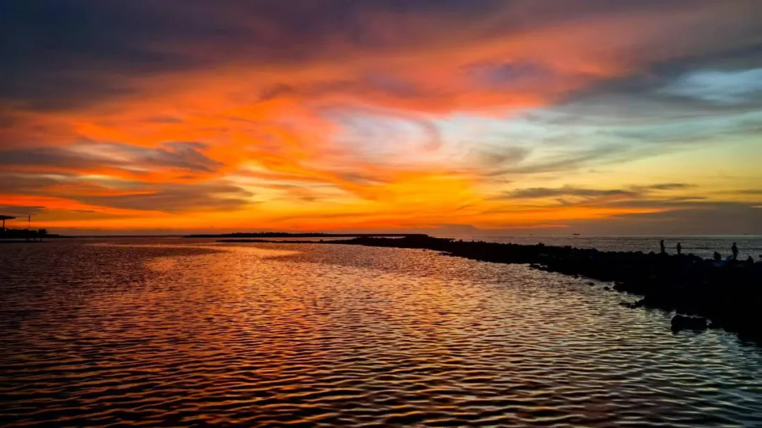 3.webp.png 3.webp.png