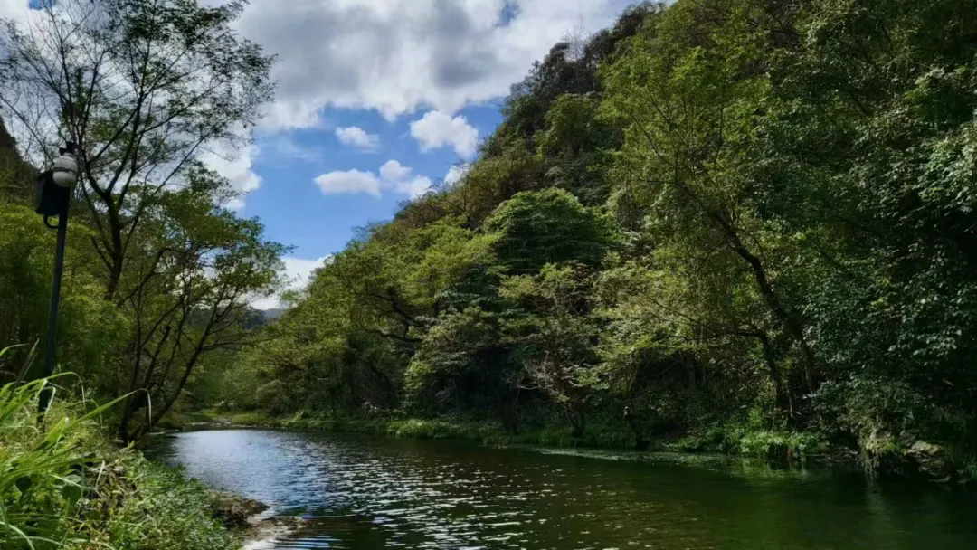 4.webp.png 4.webp.png