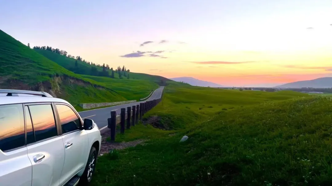 6.webp.png 6.webp.png